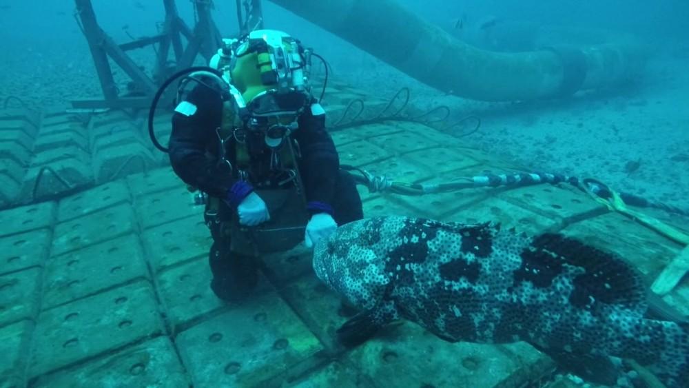 据美国多家主流媒体测算,特朗普在2024年美国总统选举新罕布什尔州共和党初选中胜出